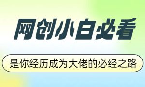 网创小白必看，是你经历成为大佬的必经之路！如何通过卖项目收学员-附多种引流创业粉方法