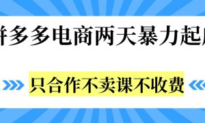 拼多多两天暴力起店，只合作不卖课不收费