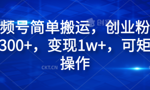 视频号简单搬运，创业粉日引300 ，变现1w ，可矩阵操作