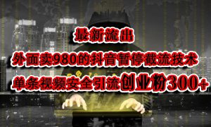 最新流出：外面卖980的抖音暂停截流技术单条视频安全引流创业粉300