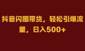 抖音闪图带货，轻松引爆流量，日入500