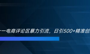 双十一电商评论区暴力引流，日引500 精准创业粉！！！