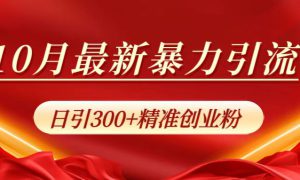 10月最新暴力引流，日引300 精准创业粉