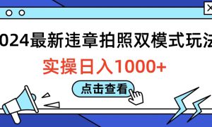 2024最新违章拍照双模式玩法，实操日入1000