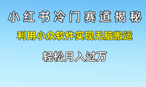 小红书冷门赛道揭秘,轻松月入过万，利用小众软件实现无脑搬运，