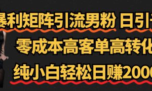 暴利矩阵引流男粉（日引千粉），零成本高客单高转化，纯小白轻松日赚2000