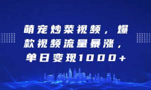 萌宠炒菜视频，爆款视频流量暴涨，单日变现1000