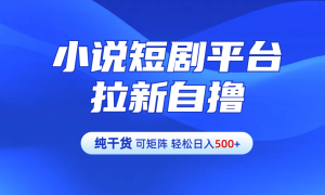 【纯干货】小说短剧平台拉新自撸玩法详解-单人轻松日入500