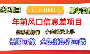 年前风口信息差项目，日入1000 ，体系化操作，小白当天上手，肥年回家