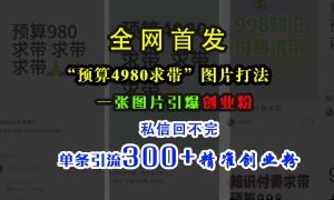 小红书“预算4980带我飞”图片打法，一张图片引爆创业粉，私信回不完，单条引流300 精准创业粉