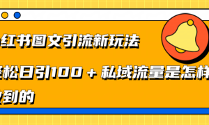 小红书图文引流新玩法，轻松日引流100 私域流量是怎样做到的