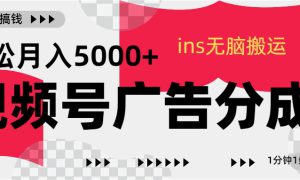 视频号广告分成，ins无脑搬运，1分钟1条原创视频，轻松月入5000