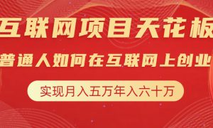 互联网项目终点站，普通人如何在互联网上创业，实现月入5w年入60w，改变思维，实现逆天改命