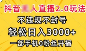 抖音小程序无人直播2.0，日入3000，不违规不封号，操作轻松