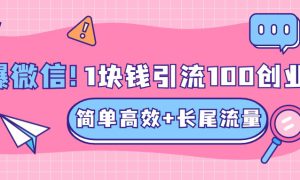 低成本高回报，1块钱引流100个精准创业粉，简单高效 长尾流量，单人单日引流500 创业粉，加爆你的微信