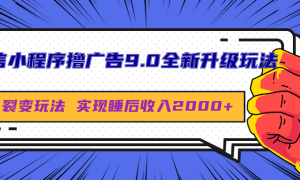 微信小程序撸广告9.0全新升级玩法，日均收益2000