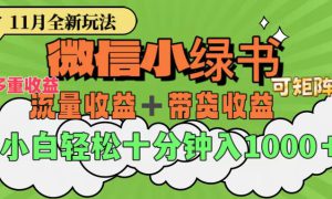 11月小绿书全新玩法，公众号流量主 小绿书带货双重变现，小白十分钟无脑日入1000