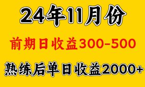 轻资产项目，前期日收益500左右，后期日收益1500-2000左右，多劳多得