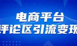 电商平台评论引流变现，无需开店铺长期精准引流，简单粗暴