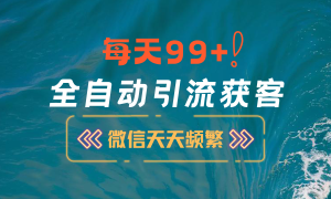 12月最新，全域全品类私域引流获客500 精准粉打法，精准客资加爆微信