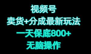 视频号卖货 分成最新玩法，一天保底800 ，无脑操作