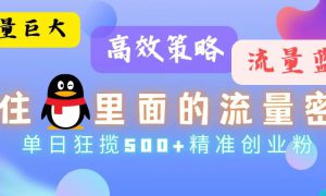 流量蓝海，抓住QQ里面的流量密码！高效策略，流量巨大，实操单日狂揽500 精准创业粉