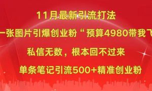 小红书11月最新图片打法，一张图片引爆创业粉“预算4980带我飞”，私信无数，根本回不过来，单条笔记引流500 精准创业粉