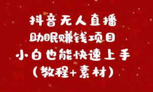 抖音快手短视频无人直播助眠赚钱项目，小白也能快速上手（教程 素材)