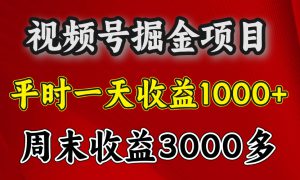 官方项目，一周一结算，平时收益一天1000左右，周六周日收益还高