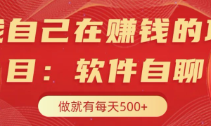 我自己在赚钱的项目，软件自聊不存在幸存者原则，做就有每天500