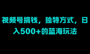 视频号搞钱，独特方式，日入500 的蓝海玩法