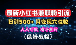 揭秘：小红书素人爆粉，保密教材，日引500 月入6位数