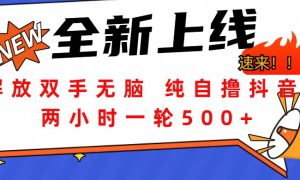 解放双手无脑 纯自撸抖音 两小时一轮500