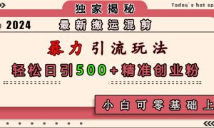 最新搬运混剪暴力引流玩法，轻松日引500 精准创业粉，小白可零基础上手