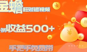 金蟾旺财短视频玩法 一条收益500  手把手免费带 当天可上手