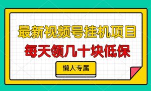 视频号挂机项目，每天几十块低保，懒人专属！