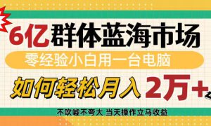 6亿群体蓝海市场，零经验小白用一台电脑，如何轻松月入2万