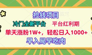 冷门全新捡钱平台，当天涨粉1W ，日入1000 ，傻瓜无脑操作