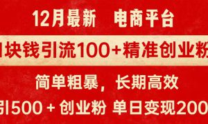 拼多多淘宝电商平台1块钱引流100个精准创业粉，简单粗暴高效长期精准，单人单日引流500 创业粉，日变现2000