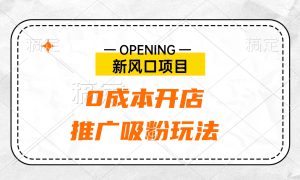 新风口项目、0成本开店、推广吸粉玩法