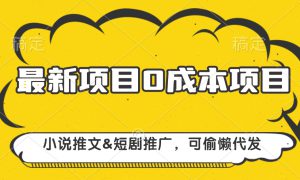 最新项目 0成本项目，小说推文短剧推广，可偷懒代发