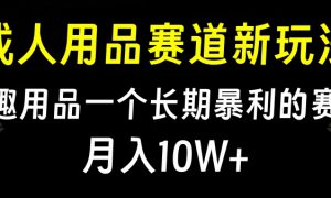 大人用品赛道新玩法，情趣用品一个长期暴利的赛道，月入10W