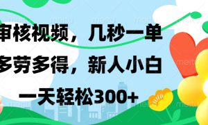 审核视频，几秒一单，多劳多得，新人小白一天轻松300