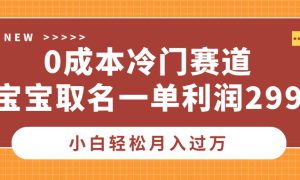 0成本冷门赛道，宝宝取名一单利润299，小白轻松月入过万