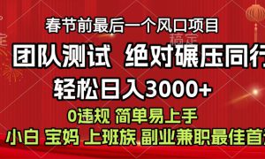 7天赚了1w，年前可以翻身的项目，长久稳定 当天上手 过波肥年