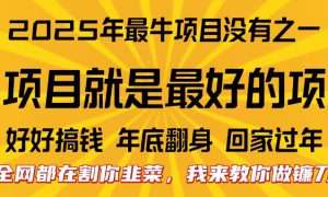 全网都在割你韭菜，我来教你做镰刀。卖项目就是最好的项目，2025年最牛互联网项目