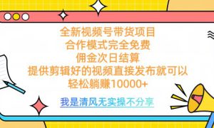 全网最新视频号带货，完全免费合作，佣金次日结算，轻松躺赚10000