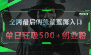 全网最后的流量蓝海入口，半小时引流50 创业粉，单日狂吸500 创业粉