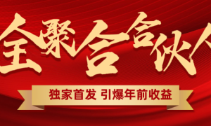 全聚合项目引爆年前收益！日入1000＋小白轻松上手，效果立竿见影，暴力吸“金”