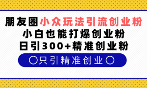 朋友圈小众玩法引流创业粉，小白也能打爆创业粉，日引300 精准创业粉